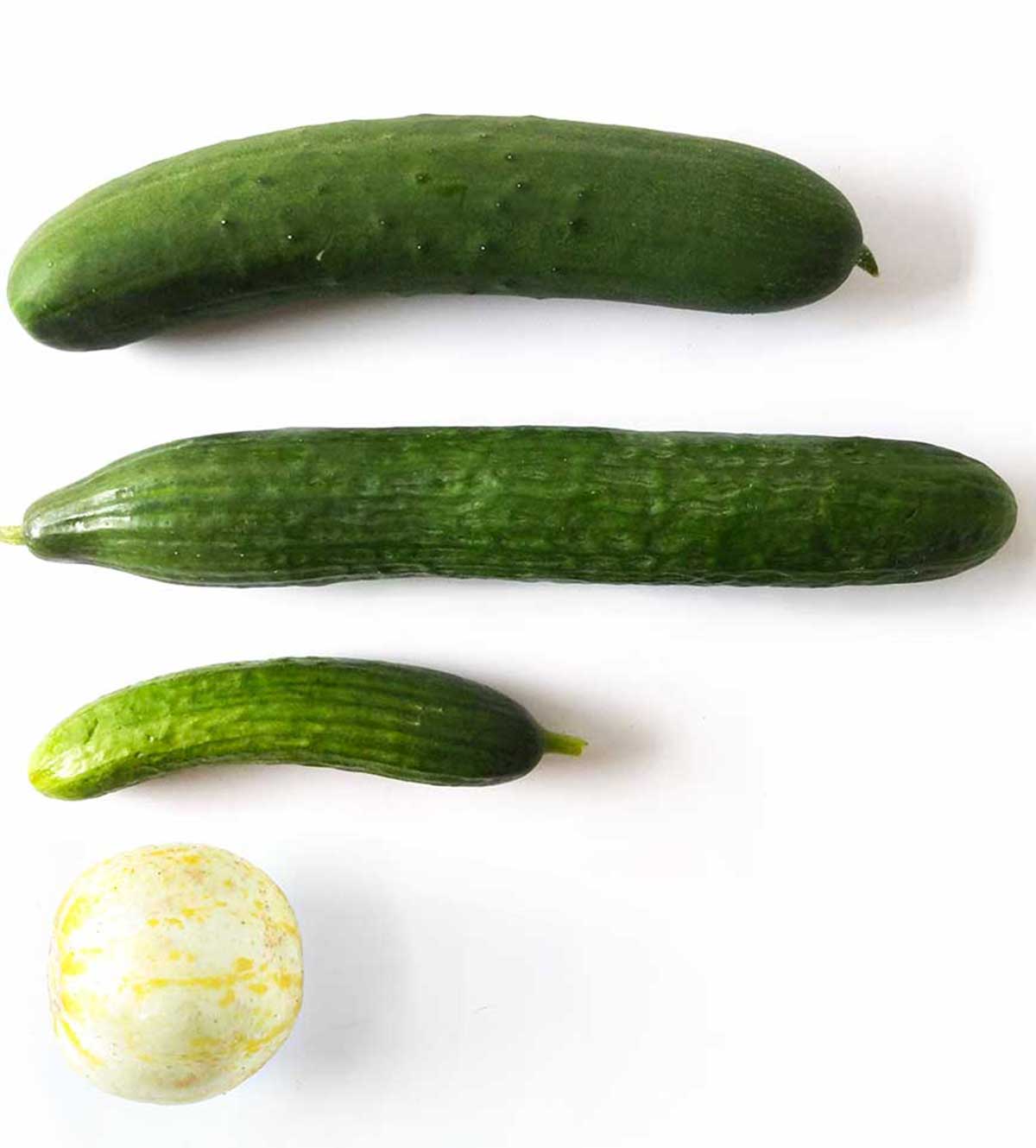 https://thecottagebluffton.com/wp-content/uploads/2015/06/cucumber-hot-house-lemon-persian-2.jpg